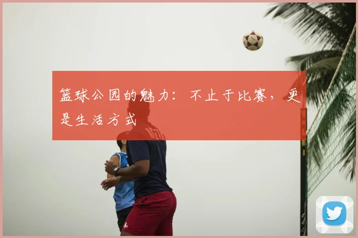 篮球公园的魅力：不止于比赛，更是生活方式